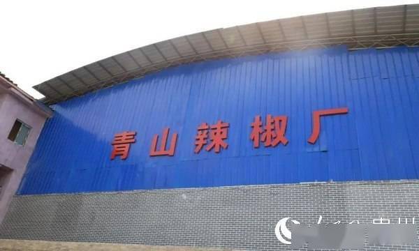 金海湖新區(qū)規(guī)劃建設(shè)辣椒加工廠，延長產(chǎn)業(yè)收益鏈